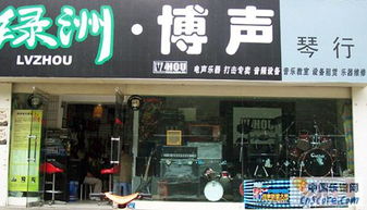 西安 西安绿洲 博声琴行